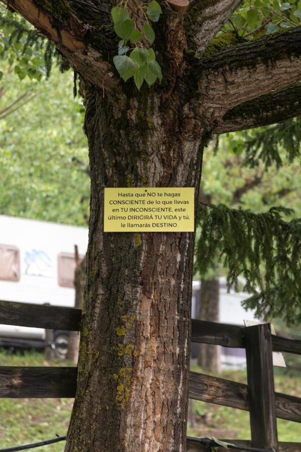 Camping Alta Ribagorca El Pont de Suert Zewnętrze zdjęcie